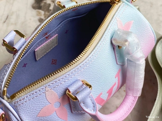 Cheap BB PAPILLON VUITTON LOUIS 0803